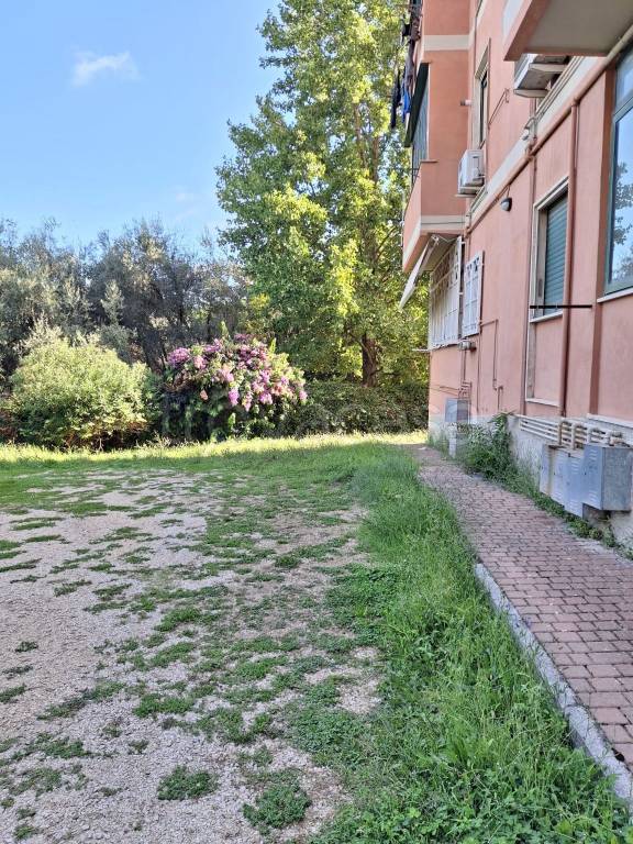 immagine annuncio 6 di 14