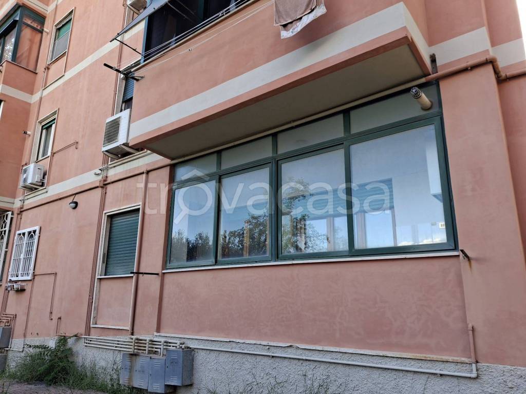 immagine annuncio 7 di 14