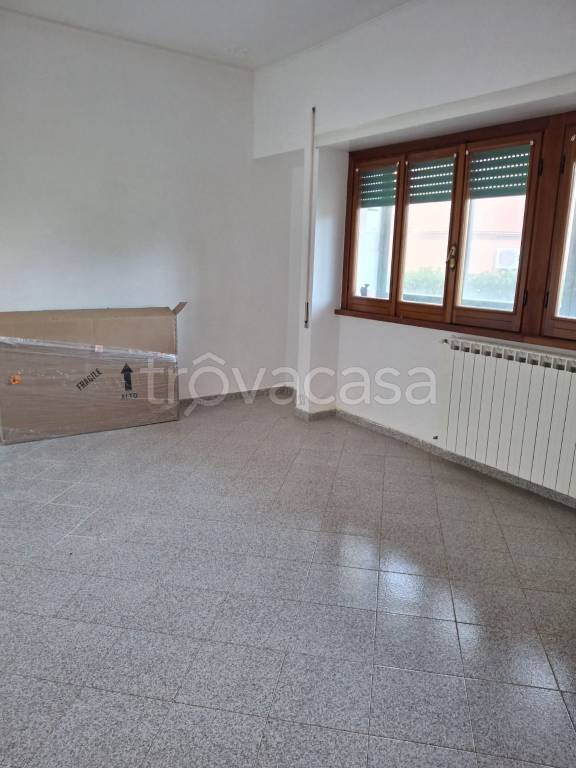 immagine annuncio 5 di 14