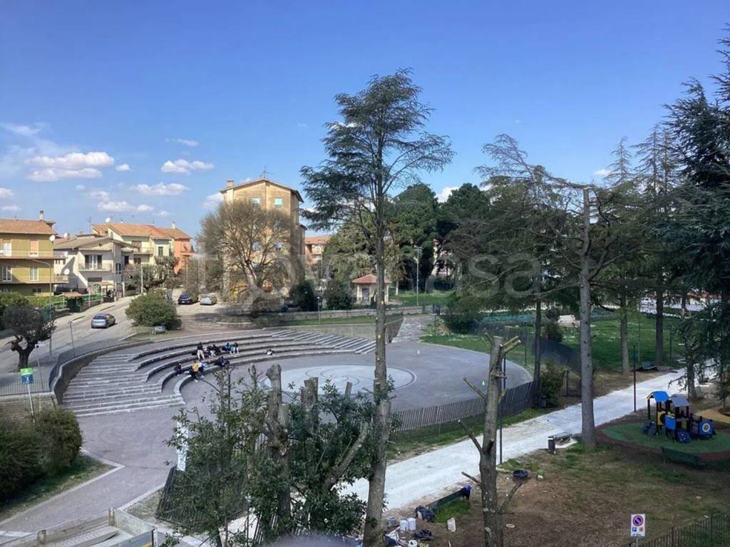 immagine annuncio 9 di 11
