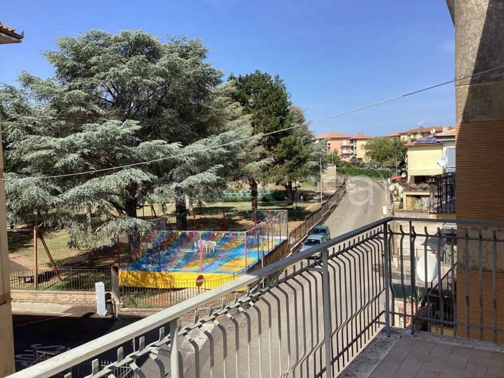 immagine annuncio 3 di 12