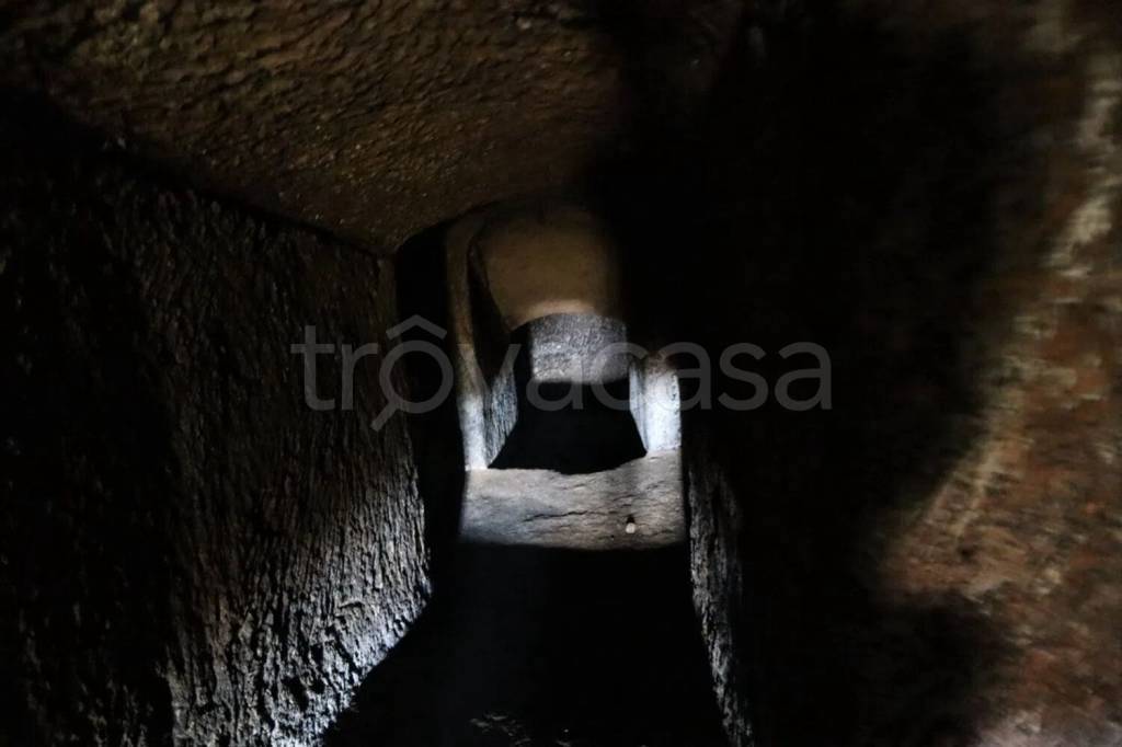 immagine annuncio 11 di 14