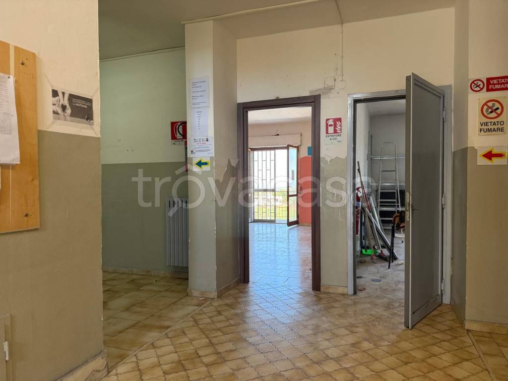 immagine annuncio 4 di 14