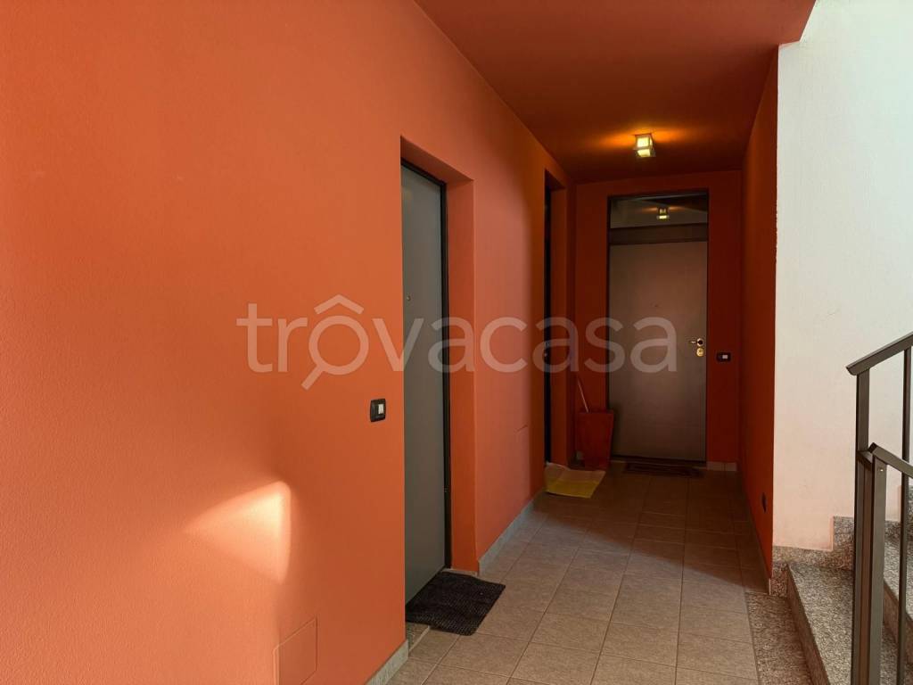 immagine annuncio 11 di 14