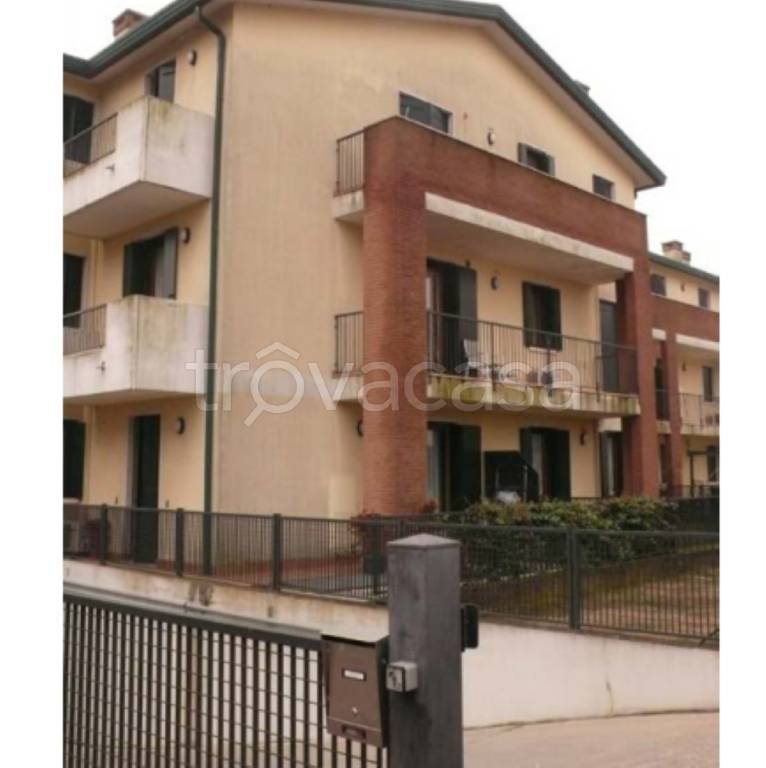 immagine annuncio 3 di 14