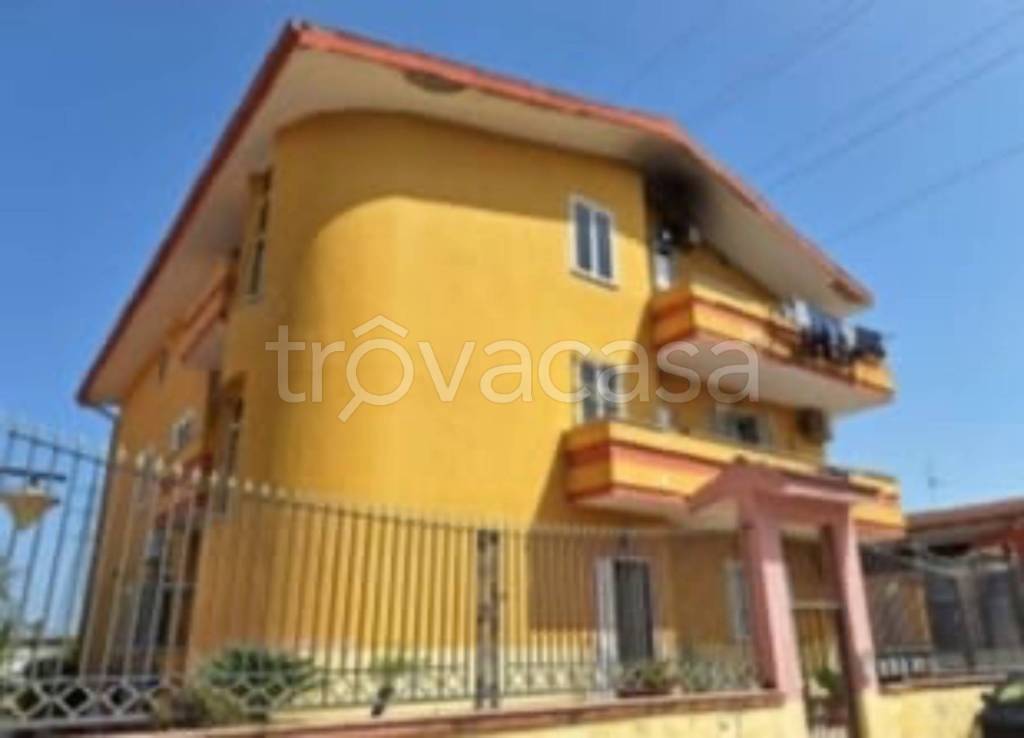 immagine annuncio 9 di 12