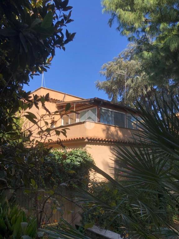 immagine annuncio 4 di 8