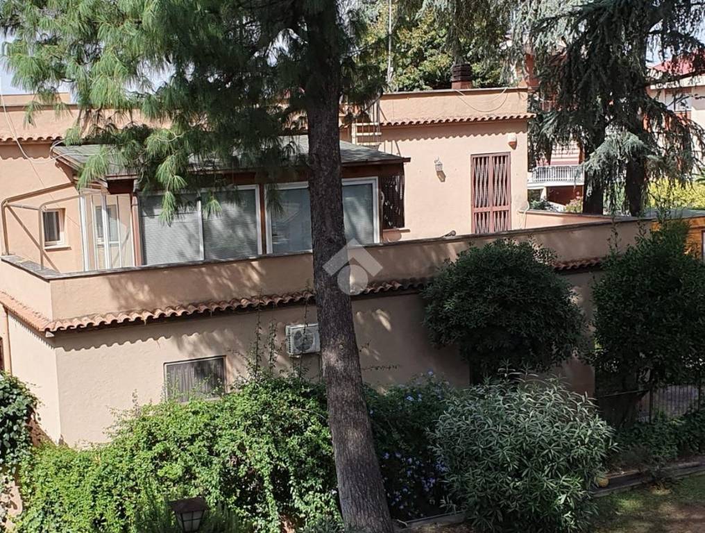 immagine annuncio 1 di 8