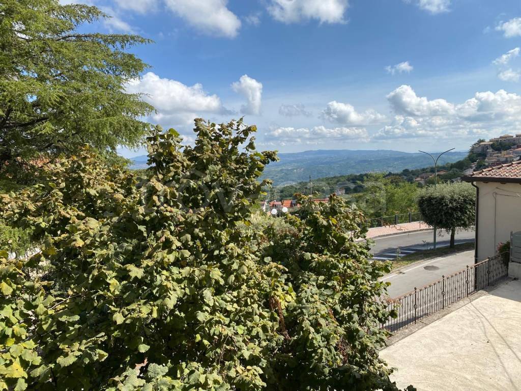 immagine annuncio 4 di 14