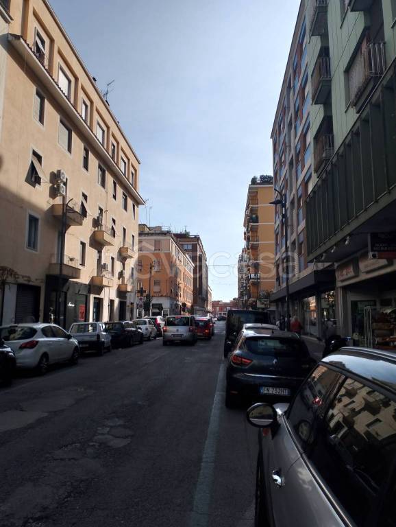 immagine annuncio 10 di 12