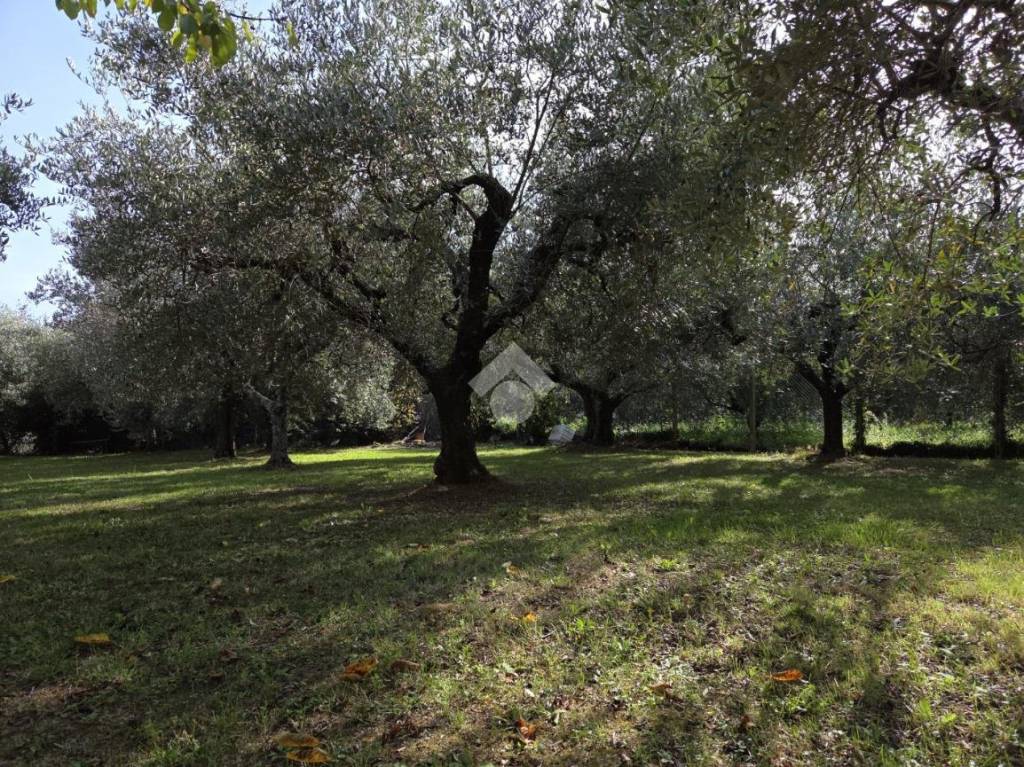 immagine annuncio 6 di 13
