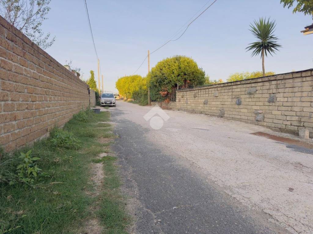 immagine annuncio 12 di 14
