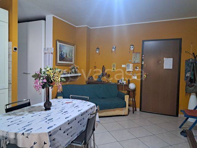 immagine annuncio 3 di 12