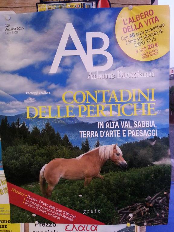 immagine annuncio 4 di 9