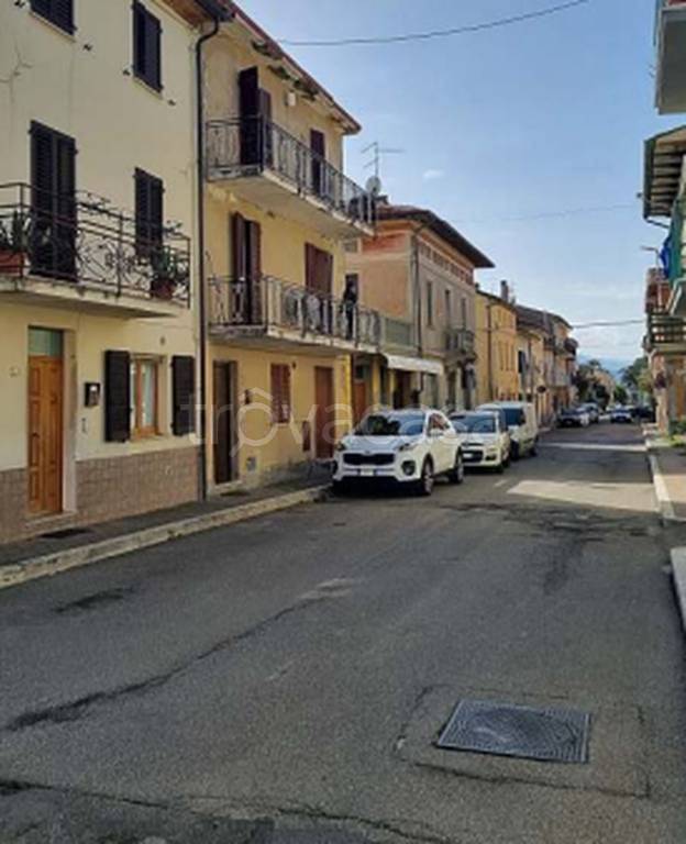 immagine annuncio 5 di 12