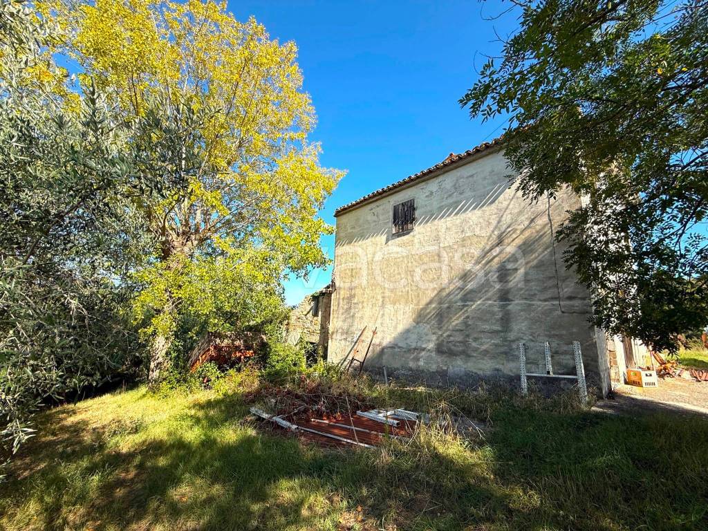 immagine annuncio 2 di 13