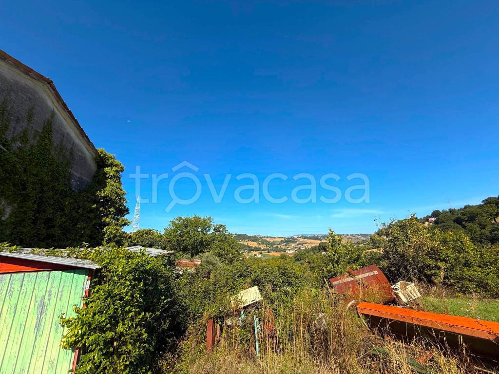 immagine annuncio 5 di 13