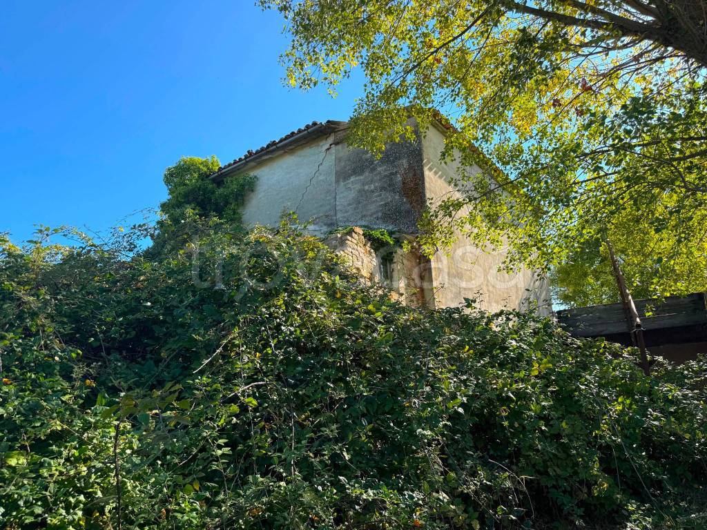 immagine annuncio 6 di 13