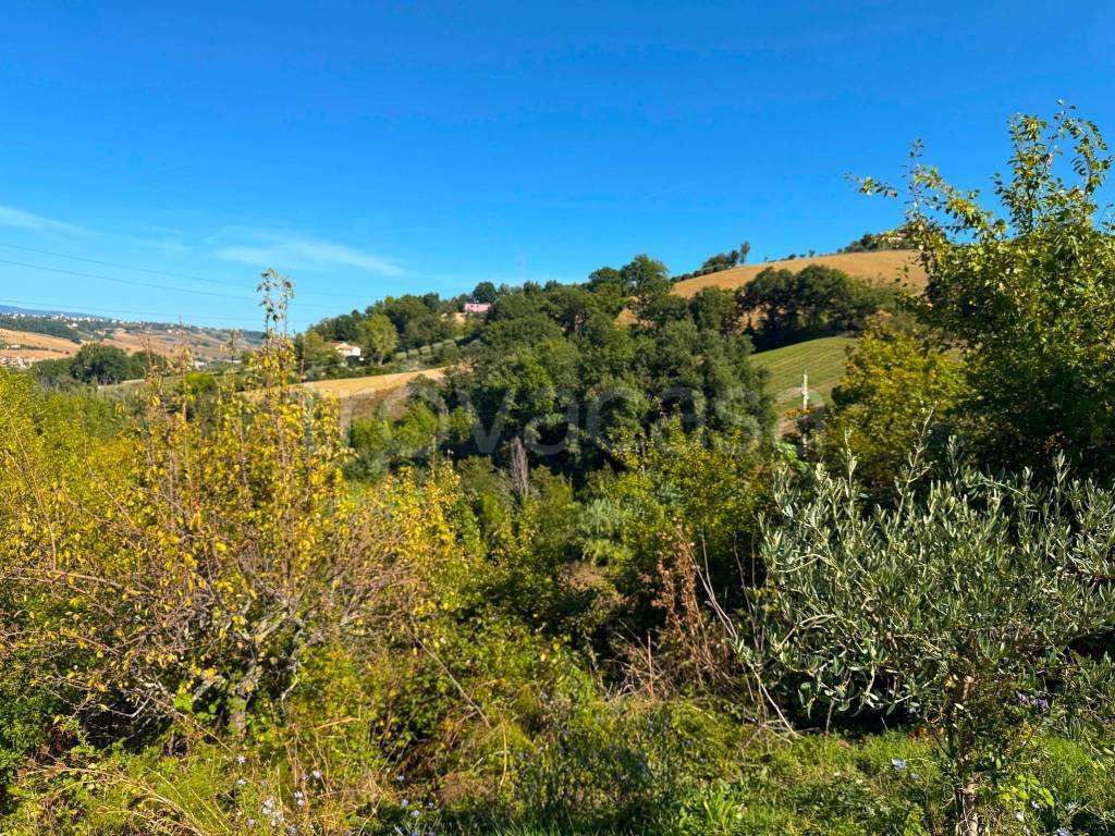 immagine annuncio 8 di 13