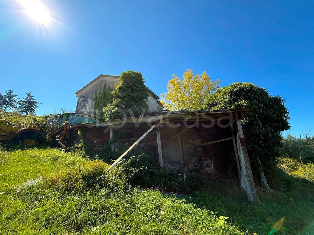 immagine annuncio 9 di 13