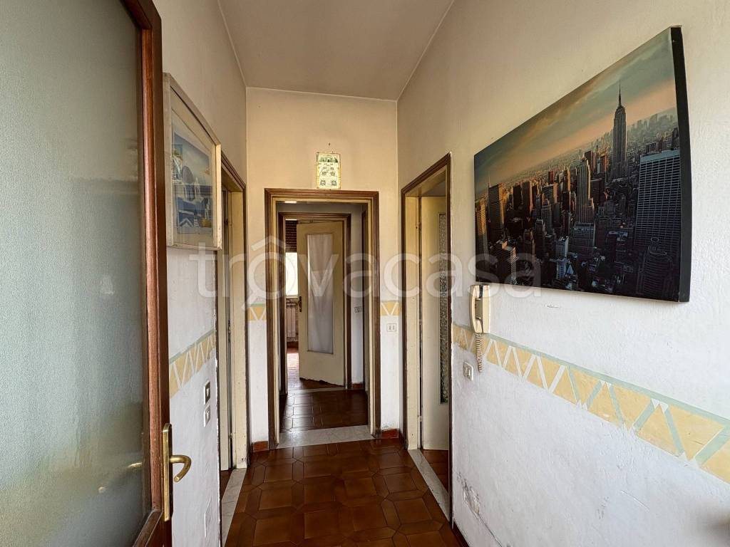 immagine annuncio 11 di 14