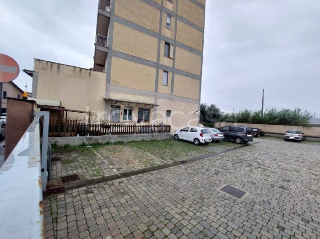 immagine annuncio 5 di 14
