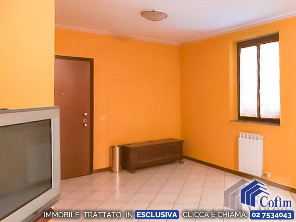immagine annuncio 3 di 11