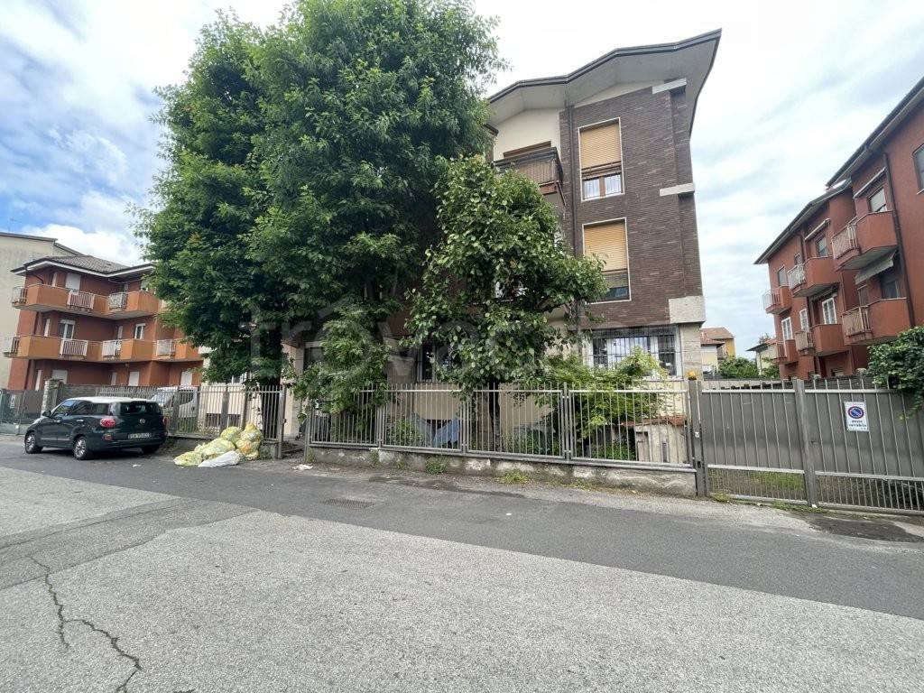 immagine annuncio 11 di 14