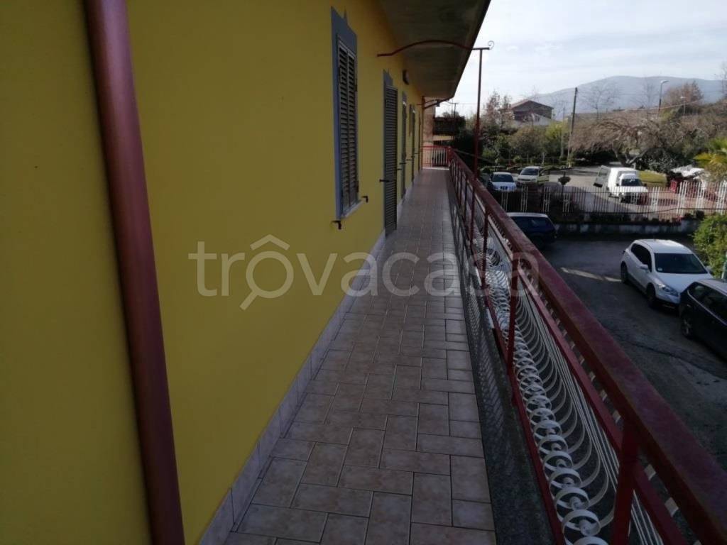 immagine annuncio 7 di 12