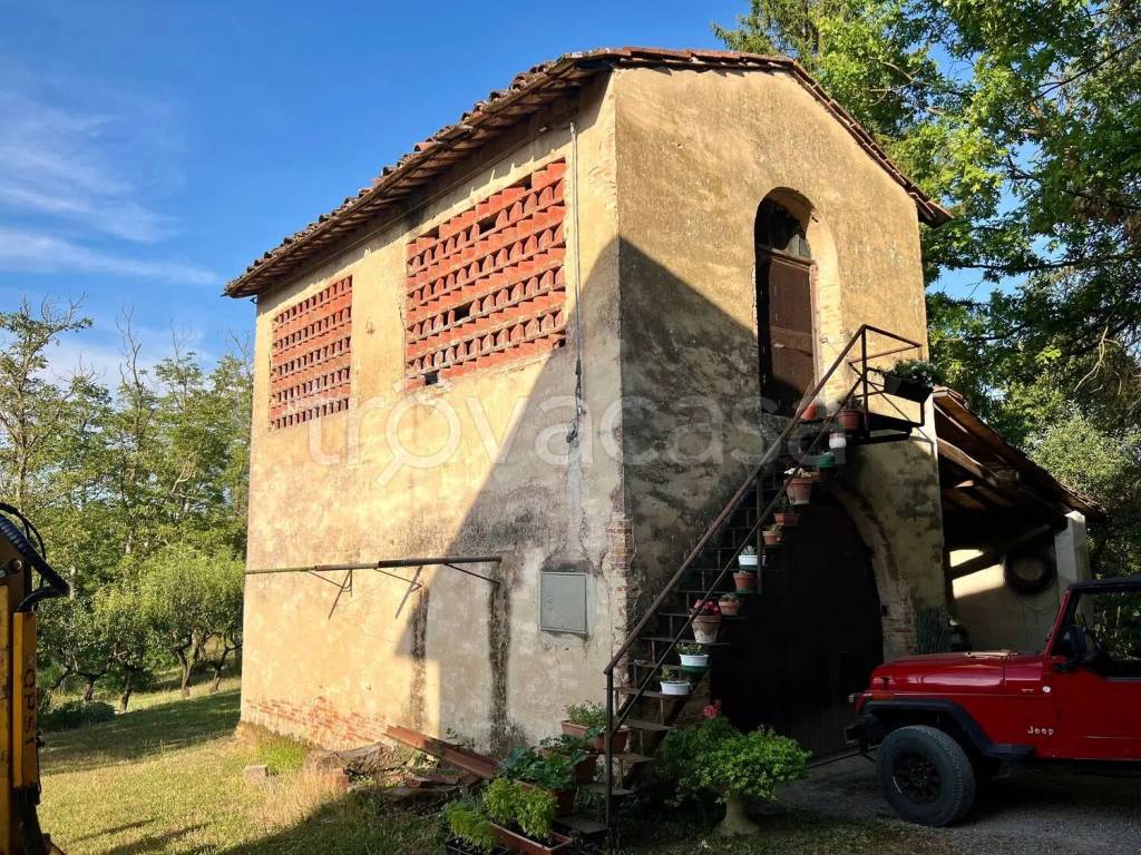 immagine annuncio 11 di 12