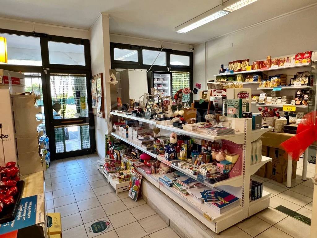 immagine annuncio 4 di 13
