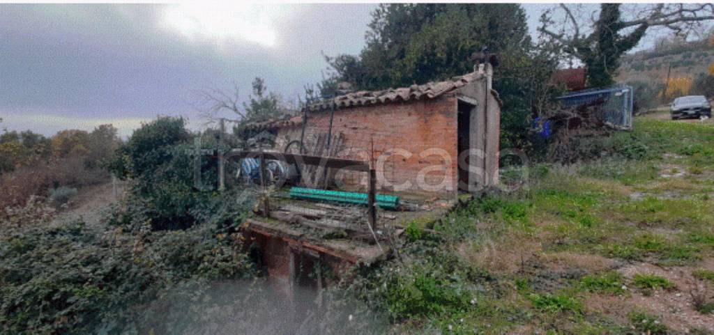 immagine annuncio 4 di 6