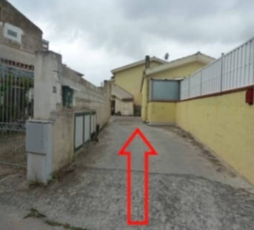 immagine annuncio 8 di 12