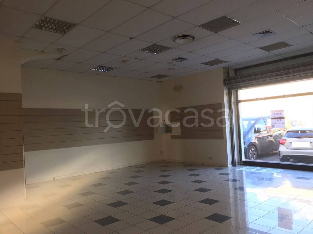 immagine annuncio 4 di 11