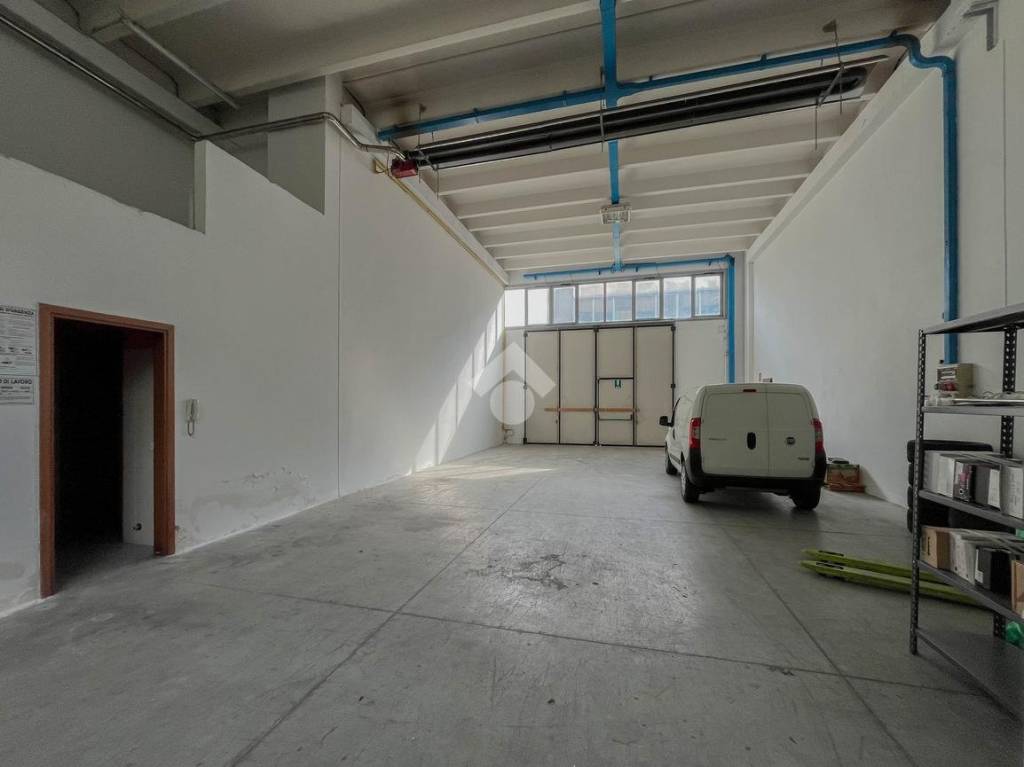 immagine annuncio 5 di 12