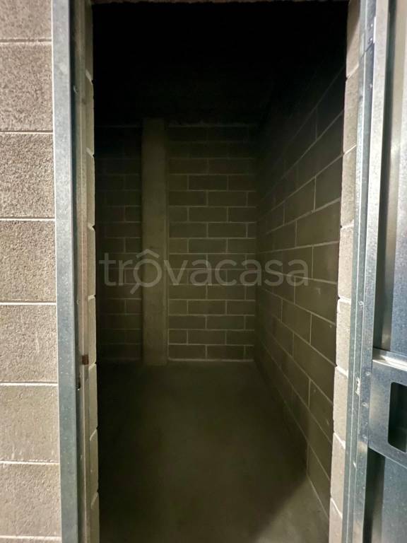 immagine annuncio 12 di 14