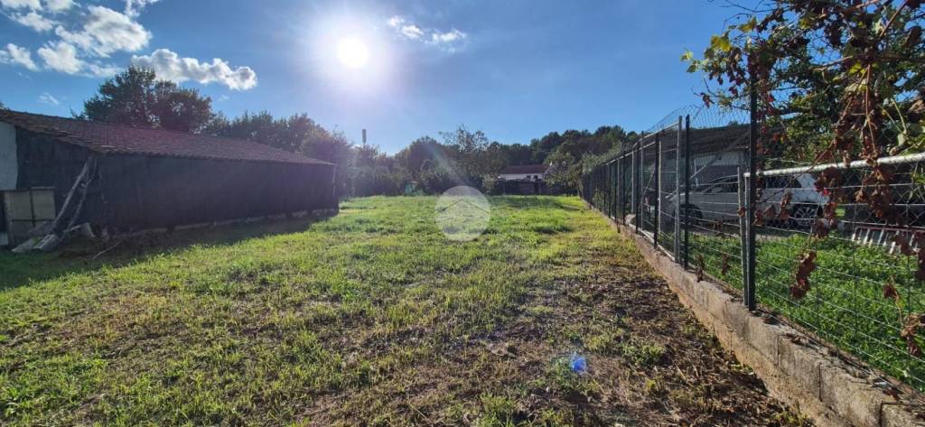 immagine annuncio 2 di 7