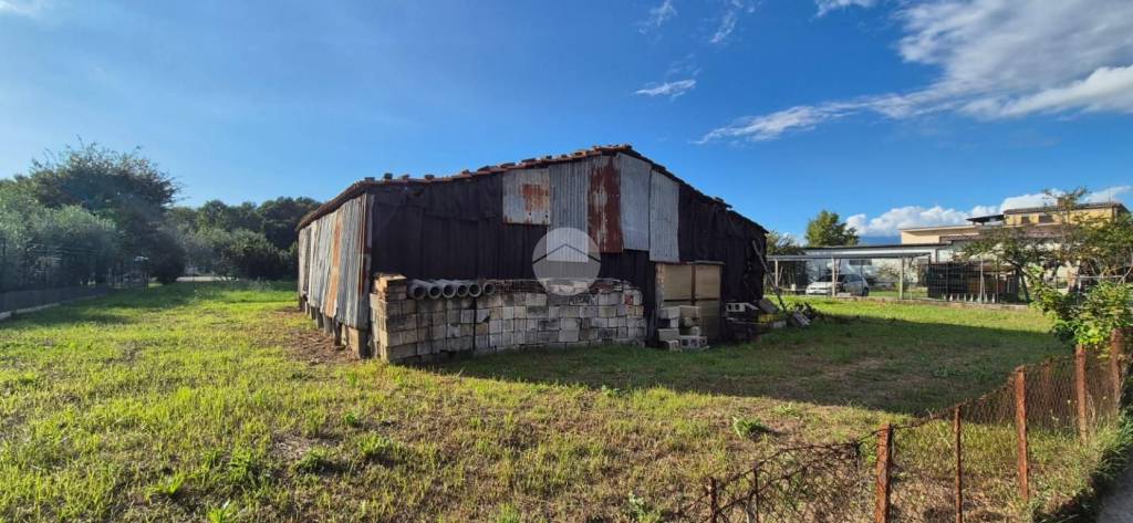 immagine annuncio 3 di 7