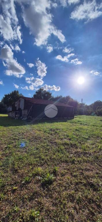 immagine annuncio 4 di 7