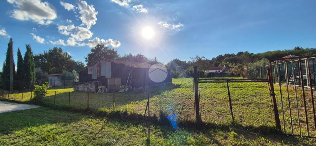 immagine annuncio 5 di 7