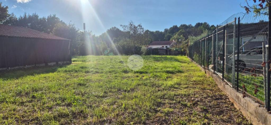 immagine annuncio 6 di 7