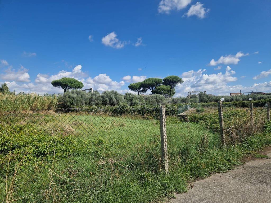 immagine annuncio 2 di 8