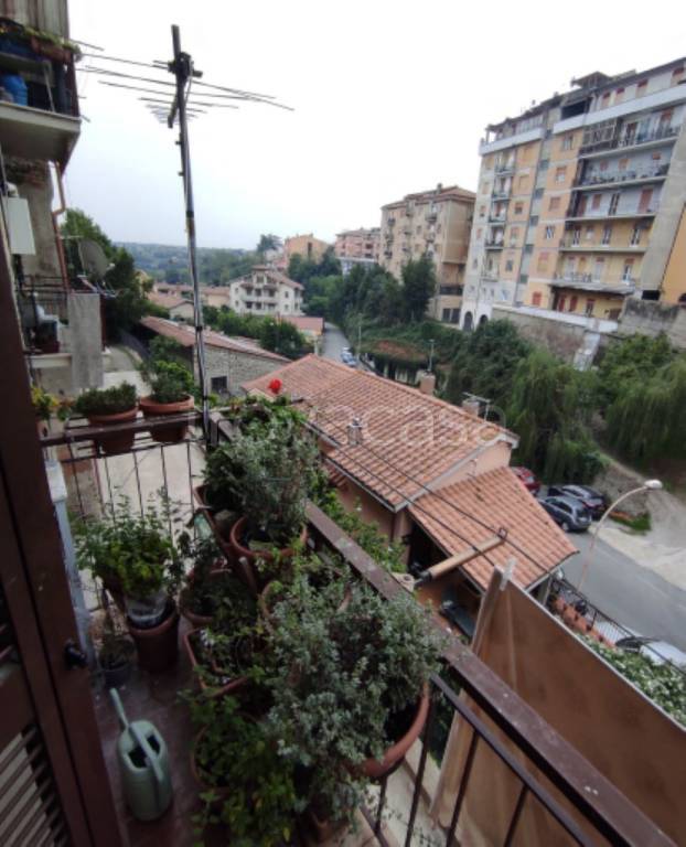 immagine annuncio 4 di 14