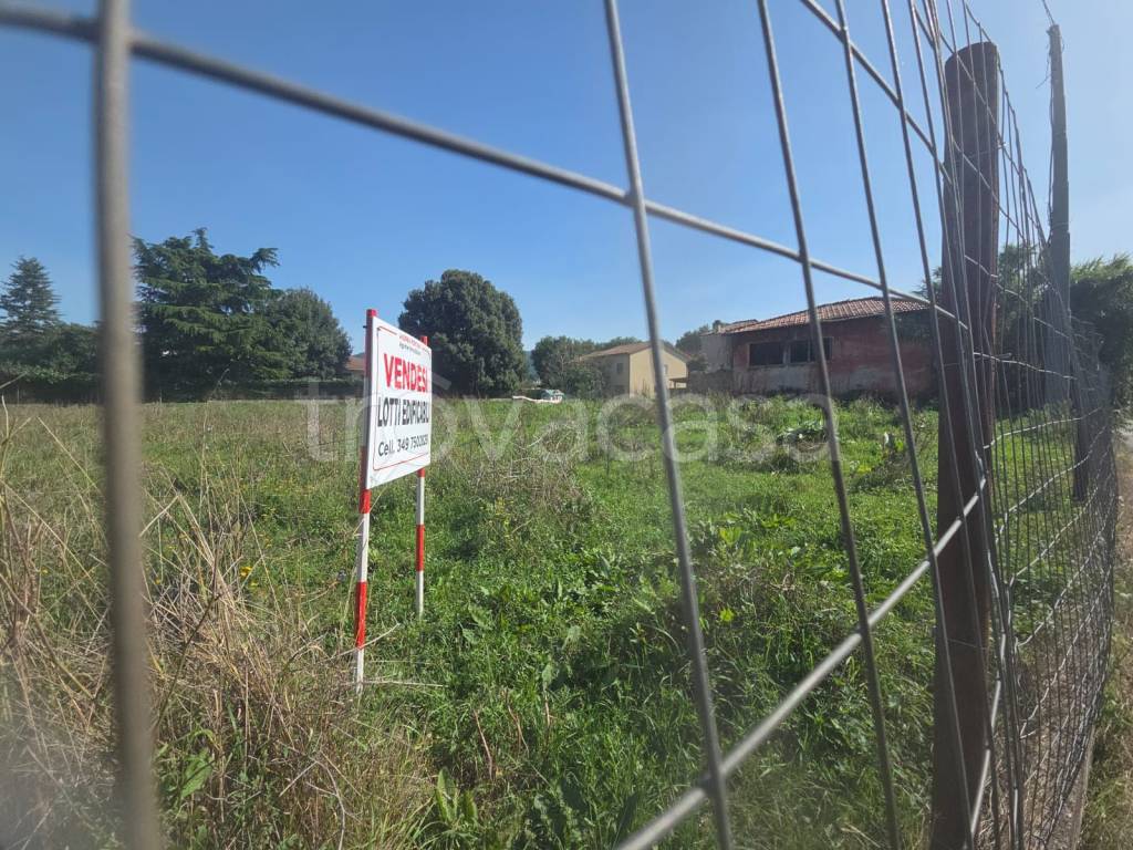 immagine annuncio 2 di 7