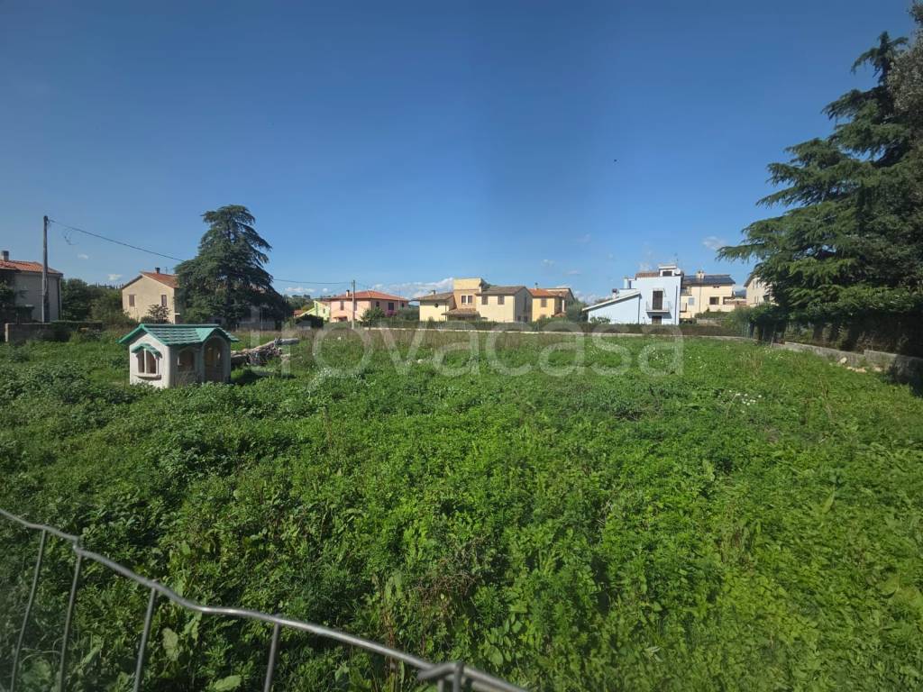 immagine annuncio 4 di 7