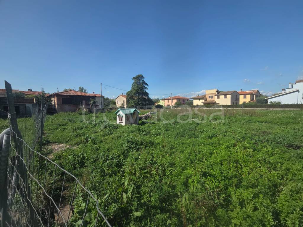 immagine annuncio 5 di 7