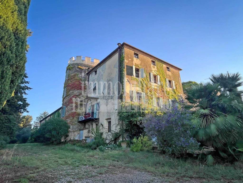 immagine annuncio 3 di 15