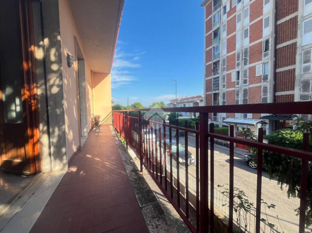 immagine annuncio 1 di 13