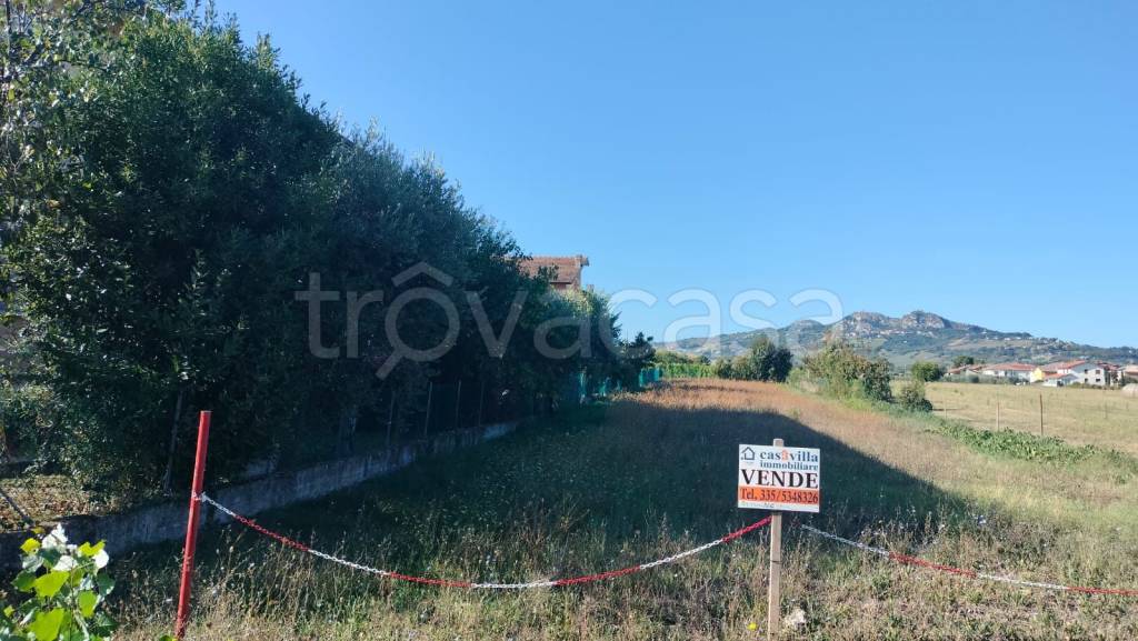 immagine annuncio 1 di 8
