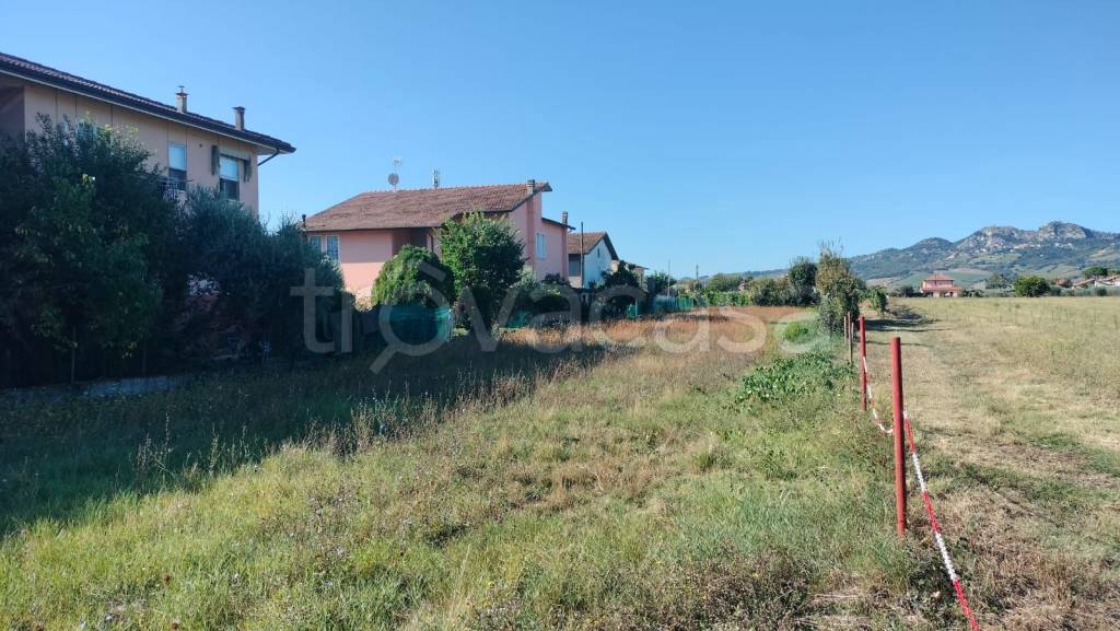 immagine annuncio 2 di 8